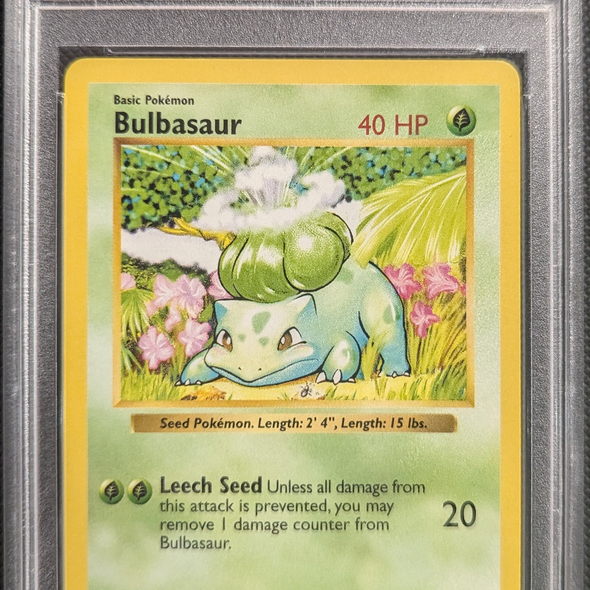 Pokemon TCG Graded Card: 1999 Bulbasaur Shadowless English #044 PSA 10 Vancity CJ Trading Cards Pokemon TCG Graded Card: 1999 Bulbasaur Shadowless English #044 PSA 10 Vancity CJ Trading Cards