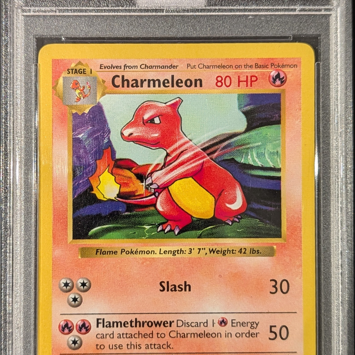 Pokemon TCG Graded Card: 1999 Charmeleon Shadowless #24 English PSA 9 Vancity CJ Trading Cards Pokemon TCG Graded Card: 1999 Charmeleon Shadowless #24 English PSA 9 Vancity CJ Trading Cards