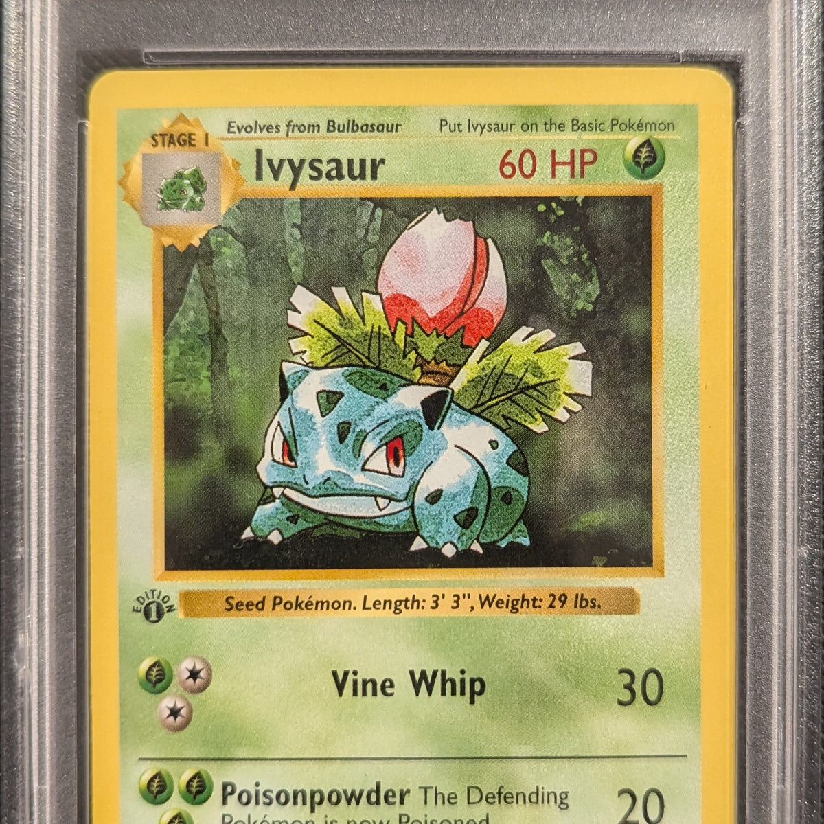 1995 ivysaur pokemon card SOLD] Pokemon TCG Graded Card: 1999 Ivysaur 1st Edition English #030 –  Vancity CJ Trading Cards