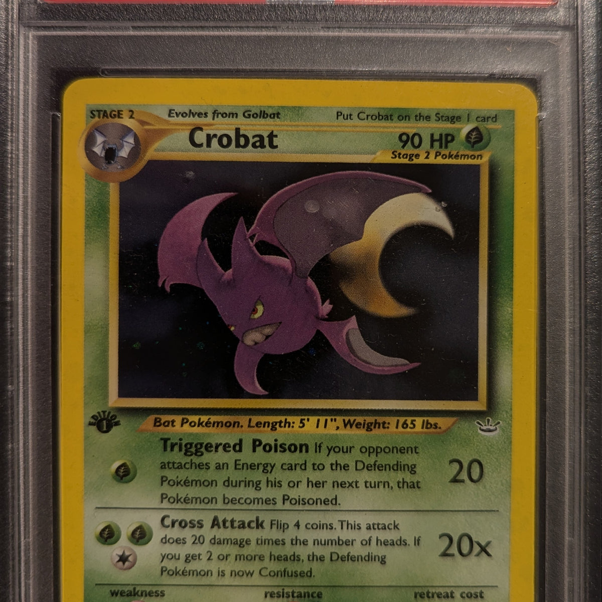 Pokemon TCG Graded Card: 2001 Crobat 1st Edition #004 English PSA 9 Vancity CJ Trading Cards Pokemon TCG Graded Card: 2001 Crobat 1st Edition #004 English PSA 9 Vancity CJ Trading Cards