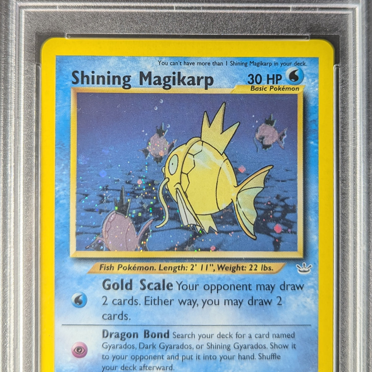 Pokemon TCG Graded Card: 2001 Shining Magikarp English #066 PSA 6  Vancity  CJ Trading Cards