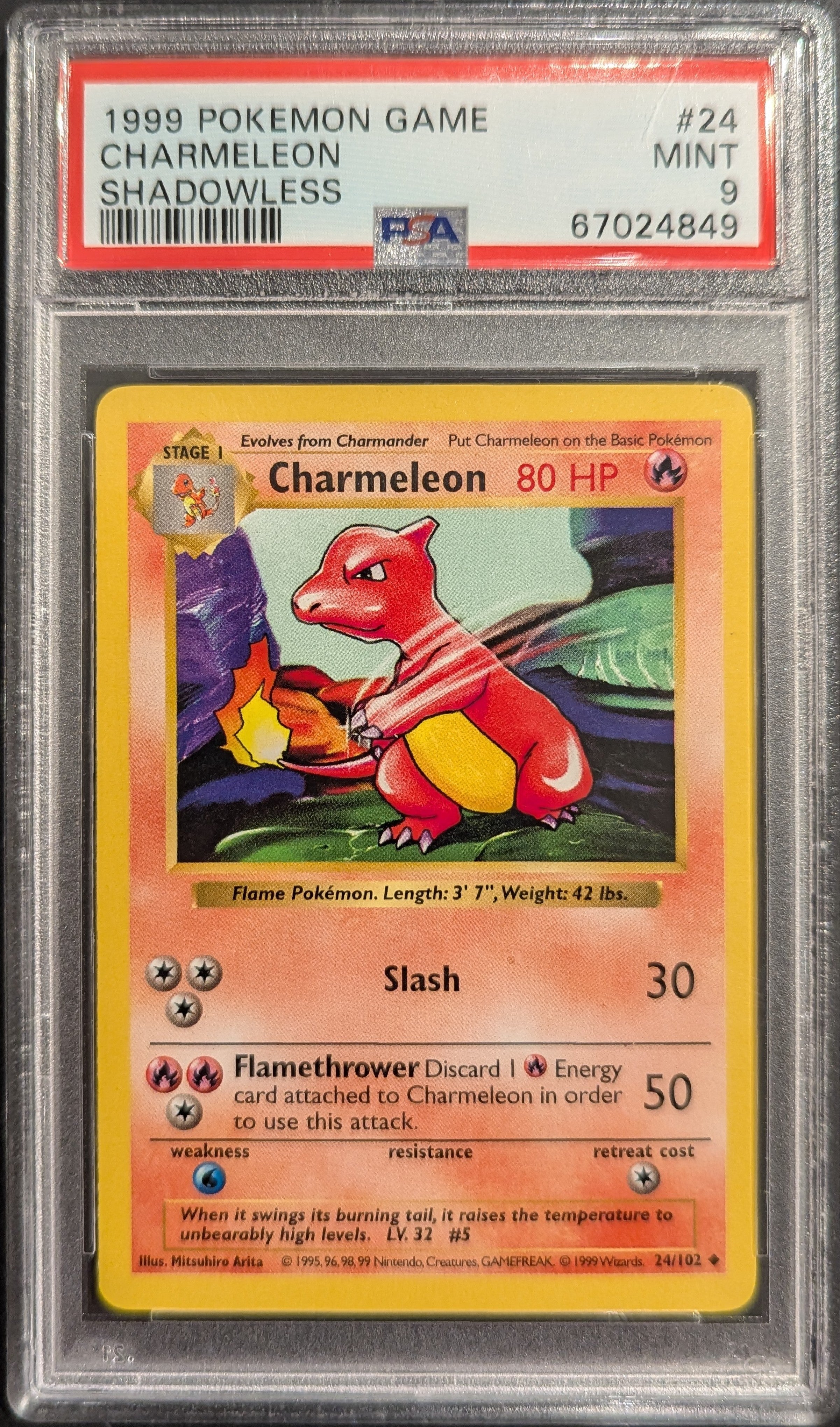 Pokemon TCG Graded Card: 1999 Charmeleon Shadowless #24 English
