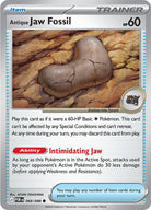 Antique Jaw Fossil