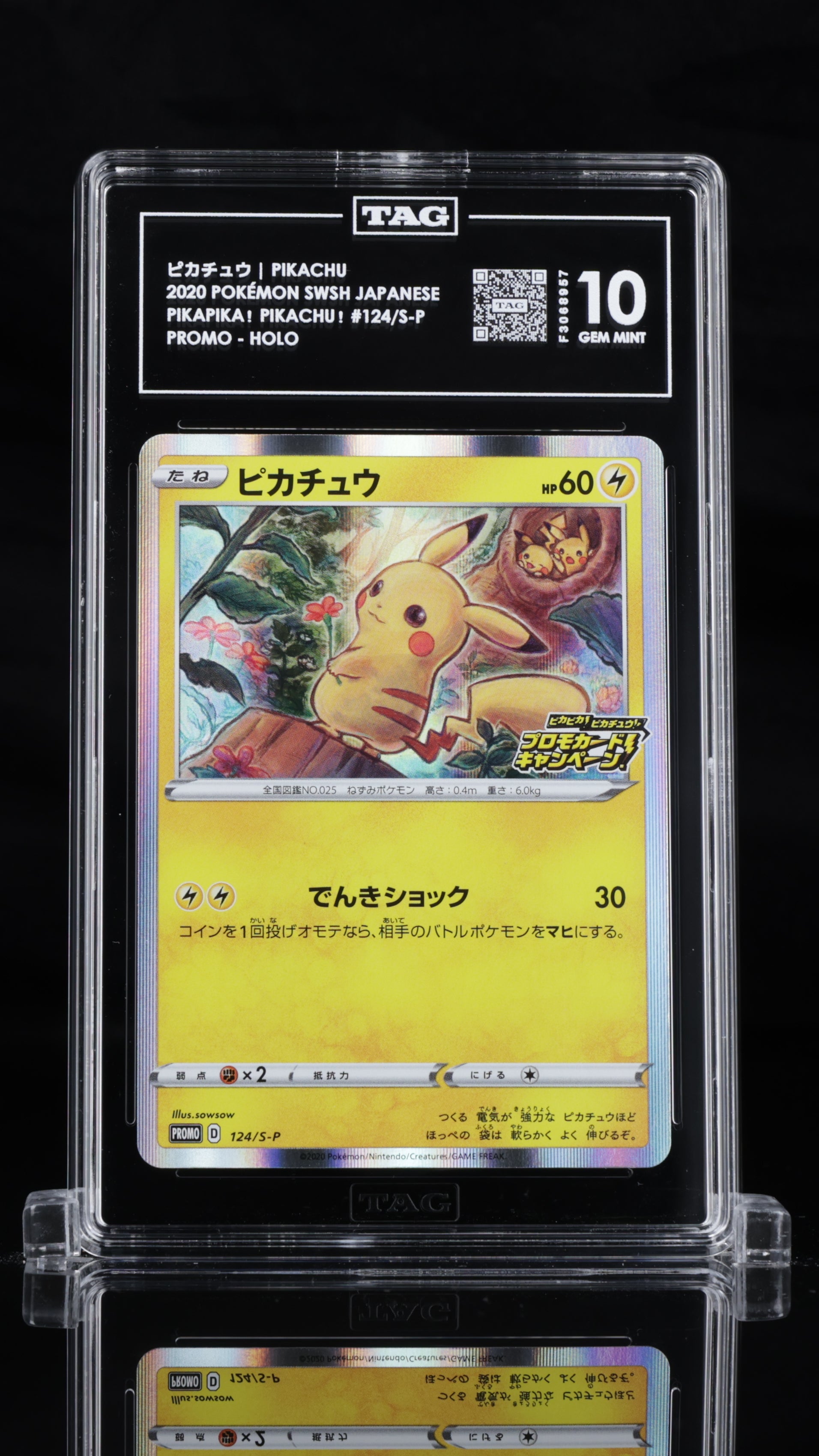 Pokemon TCG Graded Card: 2020 PikaPika! Pikachu Promo Japanese